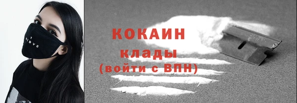 тгк Алзамай