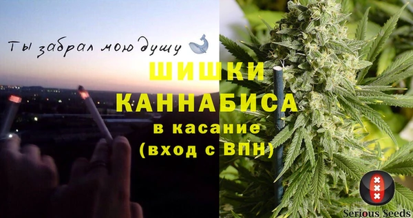 тгк Алзамай