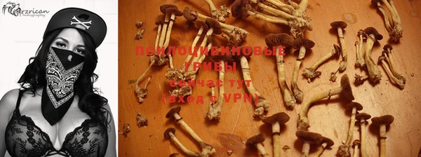 тгк Алзамай